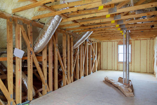 Best Wall Insulation Contractor  in Bushland, TX