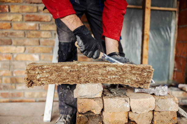 Best Insulation Removal  in Bushland, TX